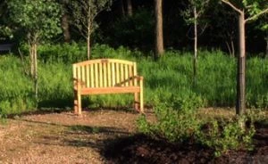 Teak Aquinah Bench Customer Photo - Illinois