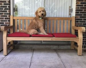 Teak Hyde Park 6 Ft Bench with Chester- Goldenteak Customer Photo