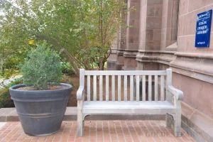 Goldenteak Teak Hyde Park Bench at Yale University - Customer Photo