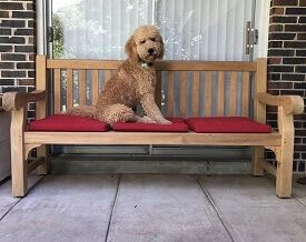 Teak Hyde Park 6 Ft Bench with Chester- Goldenteak Customer Photo